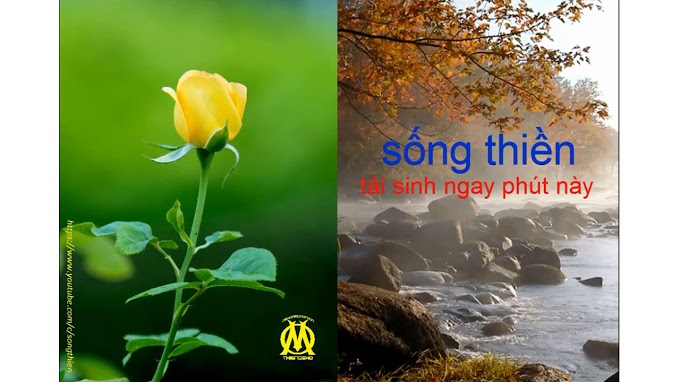 song-thien-new.JPG